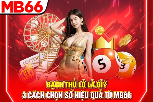 Bạch Thủ Lô Là Gì? 3 Cách Chọn Số Hiệu Quả Từ MB66