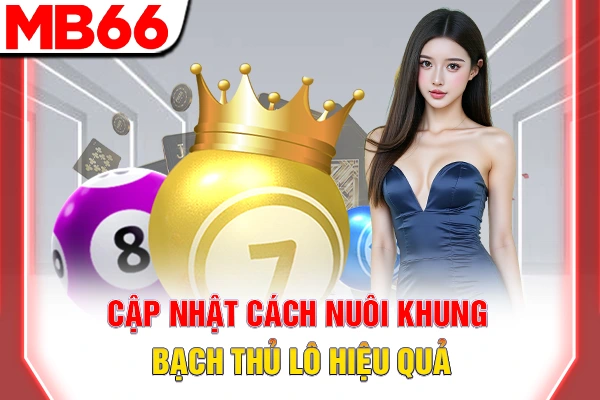 Cập nhật cách nuôi khung bạch thủ lô hiệu quả