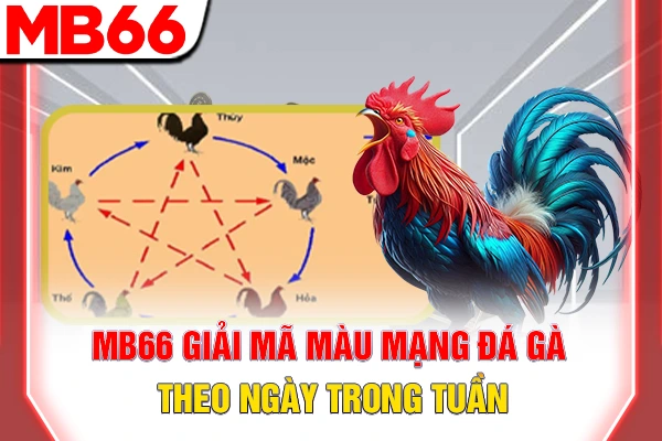 MB66 giải mã màu mạng đá gà theo ngày trong tuần