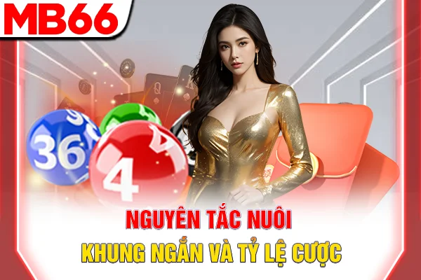 Nguyên tắc nuôi khung ngắn và tỷ lệ cược