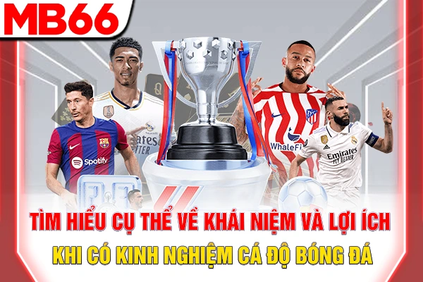 Kinh Nghiệm Cá Độ Bóng Đá - Bí Quyết Thắng Kèo Hiệu Quả 5 Tìm hiểu cụ thể về khái niệm và lợi ích khi có kinh nghiệm cá độ bóng đá